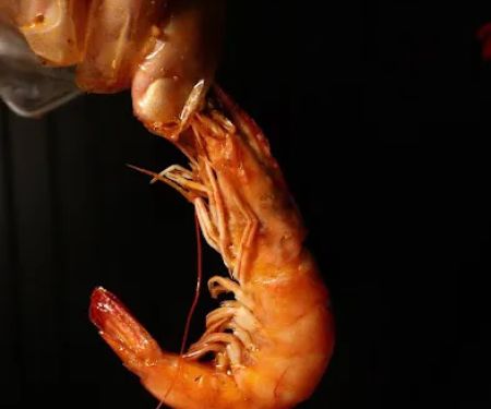 Cap't Loui - Cajun Seafood Boil