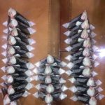 OishiiOnigiri