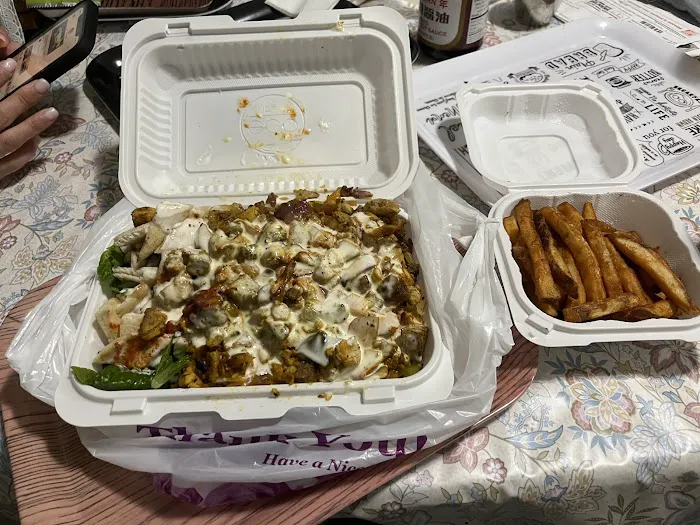 QHC Halal Cart Food Picture 2