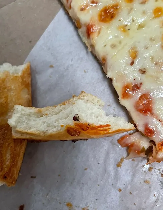 Bellerose Famous Pizza- Main Street Picture 1