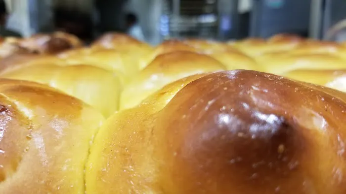 Bagels Plus Picture 8