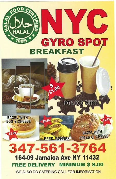 NYC Gyro Spot Picture 6