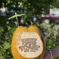 Don’s Coconuts ico