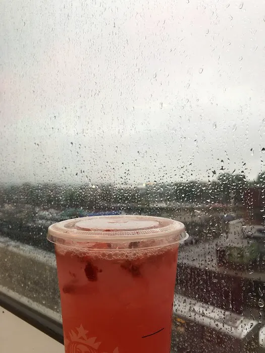 Starbucks Picture 5