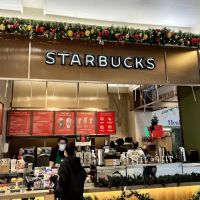 Starbucks ico
