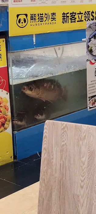Flavors Fish Picture 3