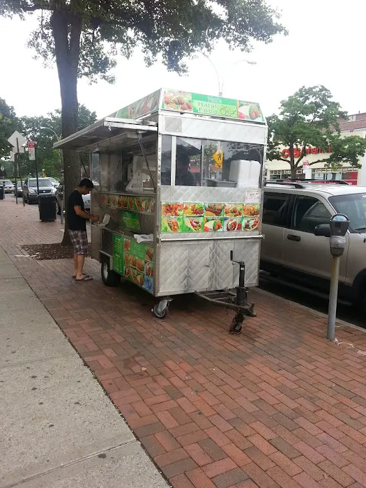 Chicken and Rice Guy Picture 1