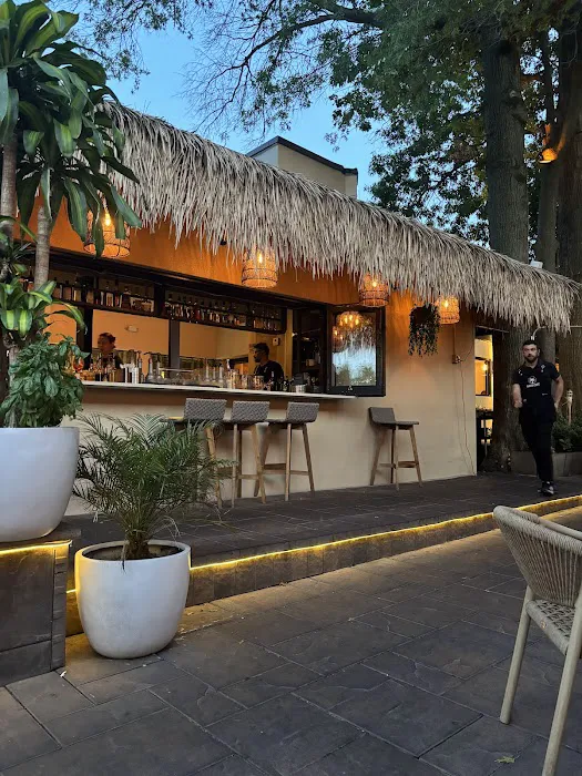 The Oasis Cafe Picture 7