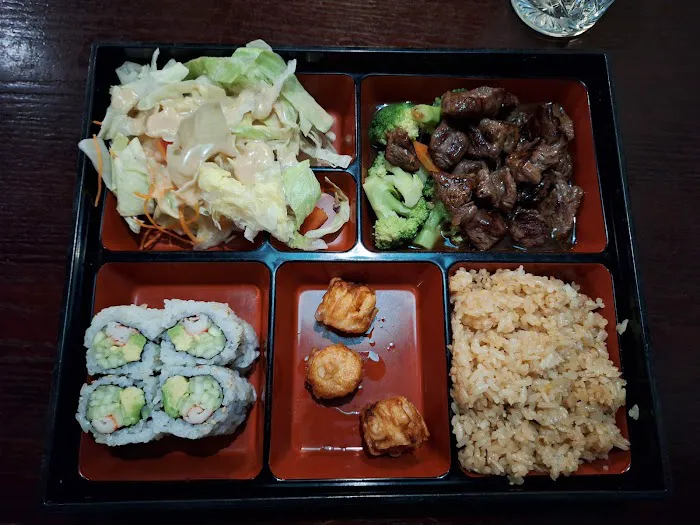 Shogun Japan Japanese restaurant Picture 2