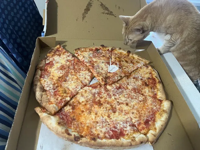 Cugini Pizzeria & Ristorante Picture 3