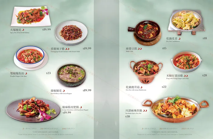 Szechuan Opera Picture 6