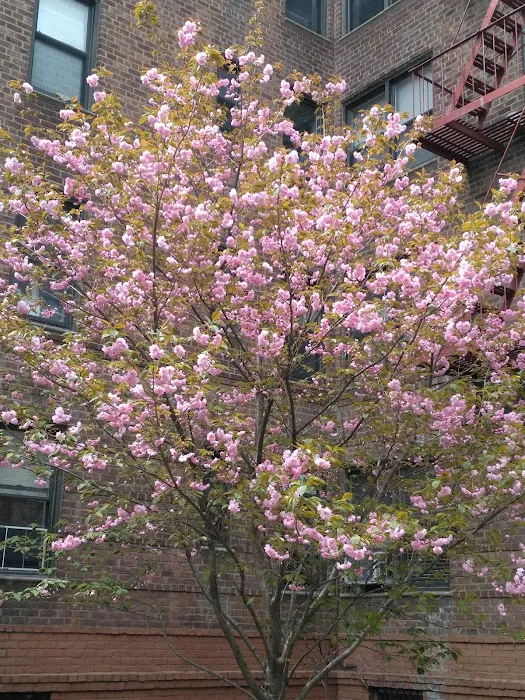 DouManJiang Picture 10