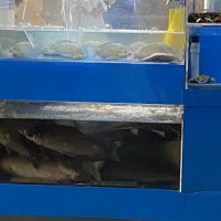 Ke Lai Qin ico