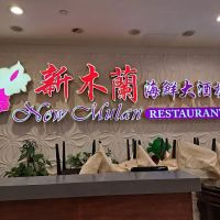 New Mulan ico
