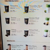 TEAPULSE - Flushing ico