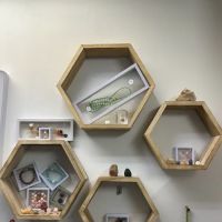 竖斈 Sue Xue - 文玩 茶艺 香道 解惑 | Tea, Incense, Antique, Accessary ico