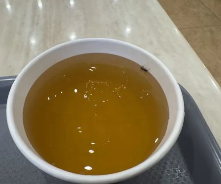 8090 Taiwan Cuisine
