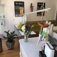 Mr. Wish ico