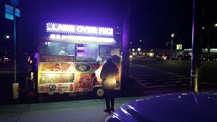 Madina Halal food Cart Picture 3