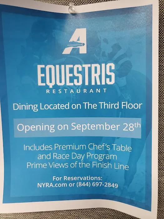 Equestris Picture 2