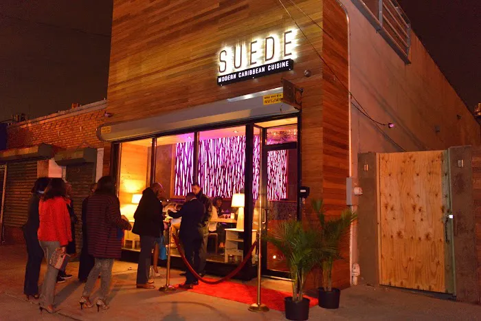 Suede Picture 10