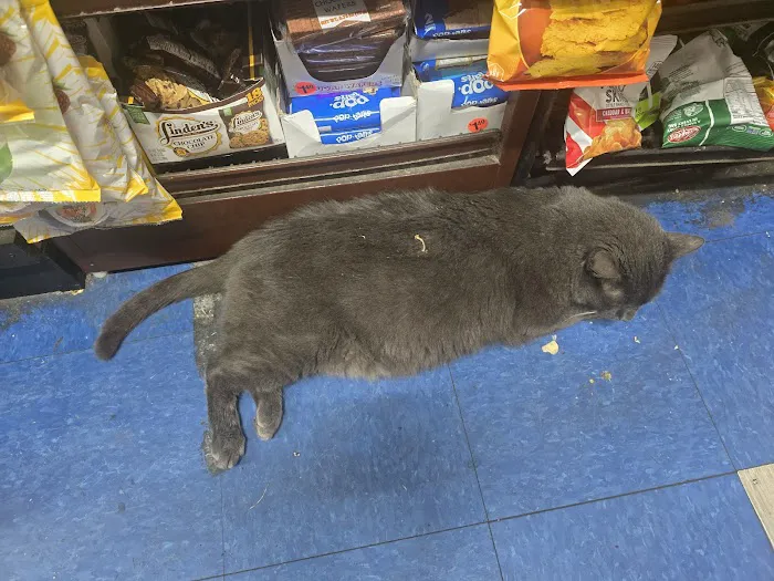 J G Grocery & Deli Picture 2
