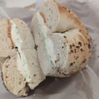 SpringTree Bagel ico