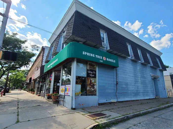 SpringTree Bagel Picture 3