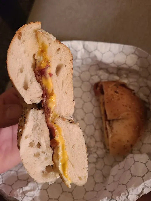 SpringTree Bagel Picture 6