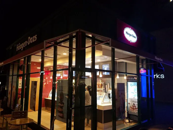 Häagen-Dazs Ice Cream Picture 6
