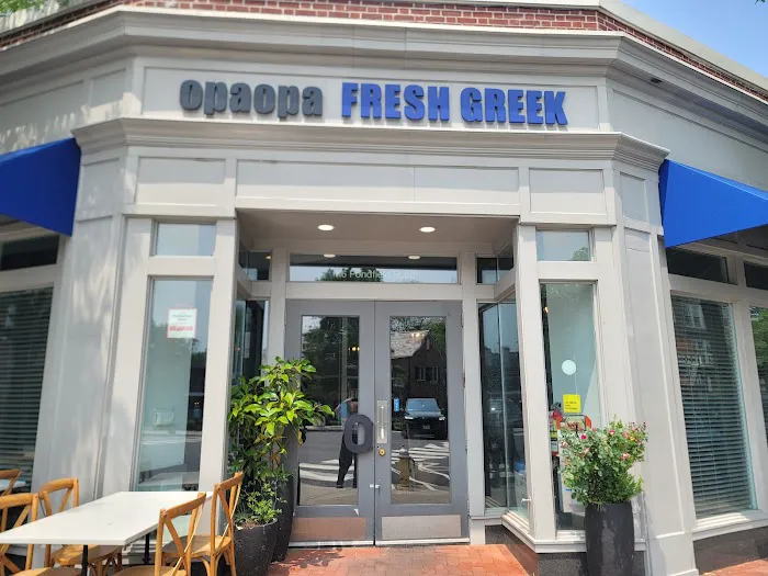 OpaOpa Fresh Greek Picture 4