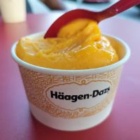 Haagen-Dazs ico
