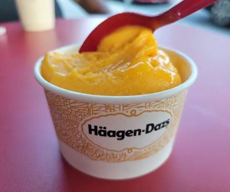 Haagen-Dazs