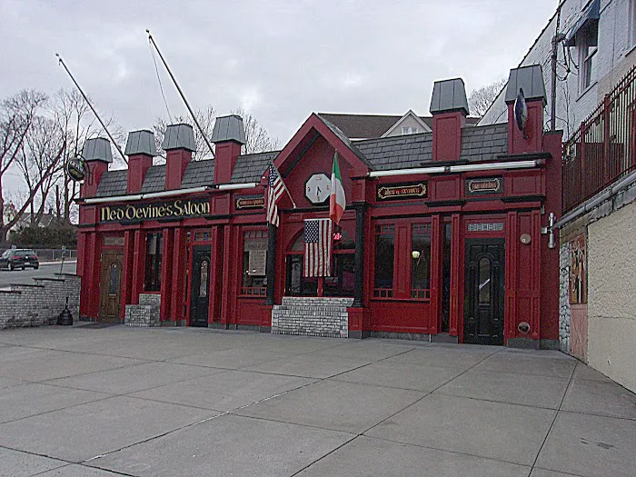 Ned Devine's Saloon Picture 1