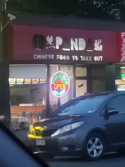 Panda Chinese Kitchen Picture 5