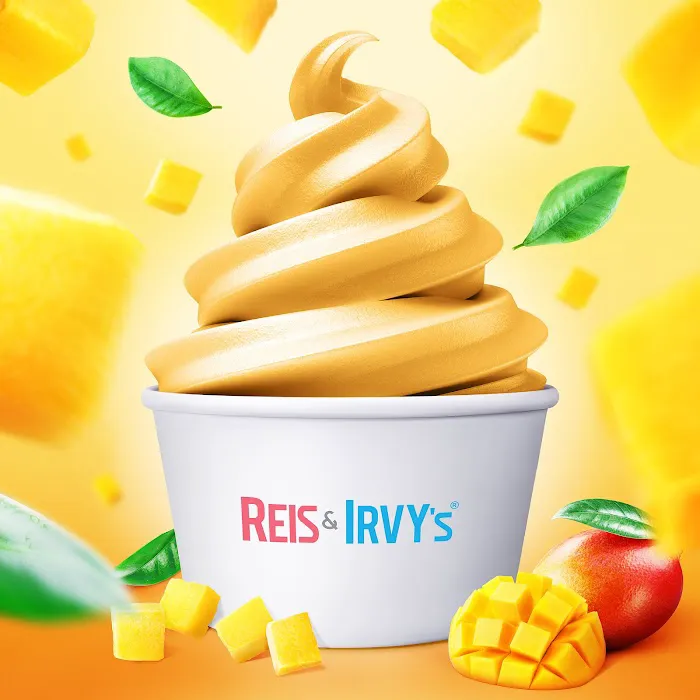 Reis and Irvy's Frozen Yogurt @ Sky Zone New Rochelle Picture 1