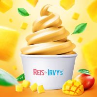 Reis and Irvy's Frozen Yogurt @ Sky Zone New Rochelle ico