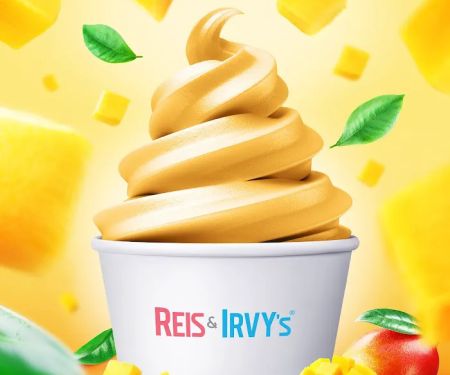 Reis and Irvy's Frozen Yogurt @ Sky Zone New Rochelle