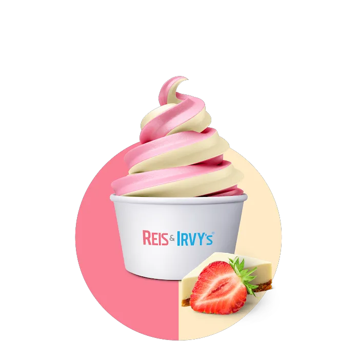 Reis and Irvy's Frozen Yogurt @ Sky Zone New Rochelle Picture 9