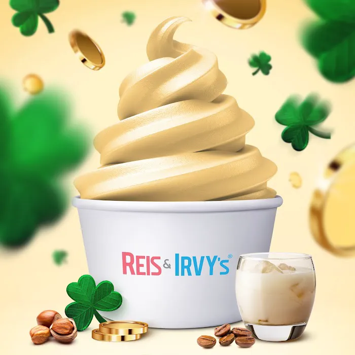 Reis and Irvy's Frozen Yogurt @ Sky Zone New Rochelle Picture 7