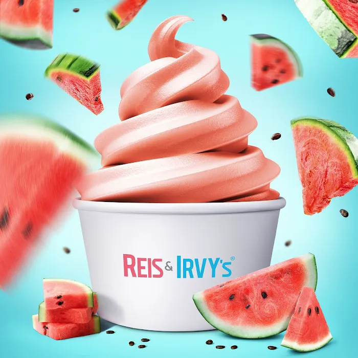 Reis and Irvy's Frozen Yogurt @ Sky Zone New Rochelle Picture 8