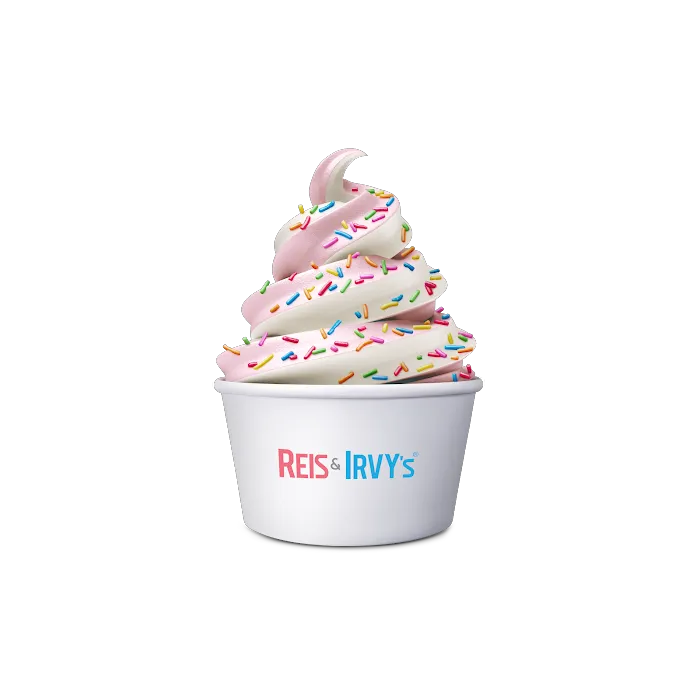 Reis and Irvy's Frozen Yogurt @ Sky Zone New Rochelle Picture 4