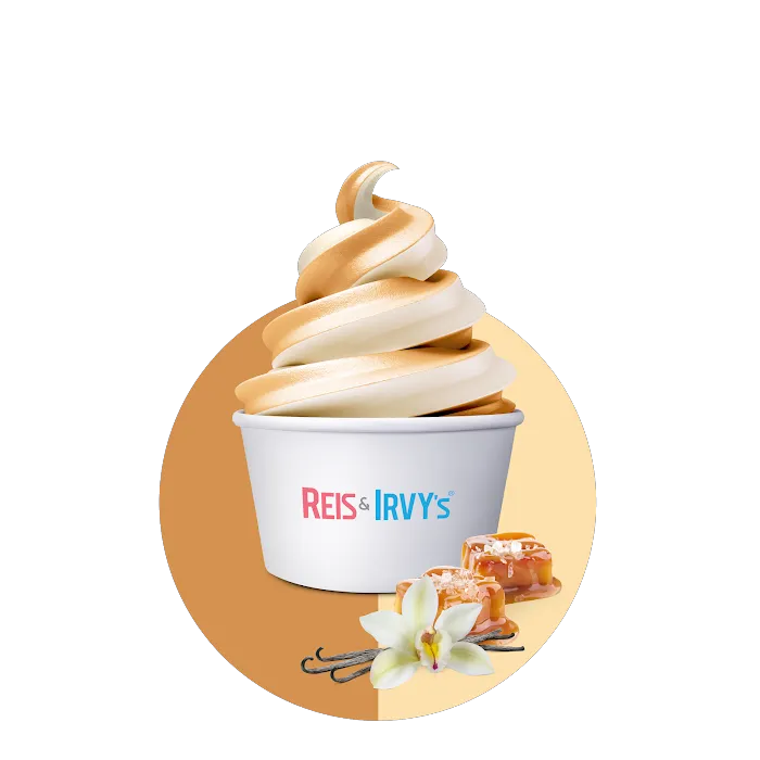 Reis and Irvy's Frozen Yogurt @ Sky Zone New Rochelle Picture 3