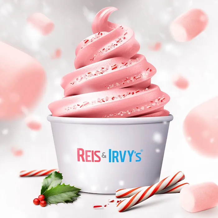 Reis and Irvy's Frozen Yogurt @ Sky Zone New Rochelle Picture 5