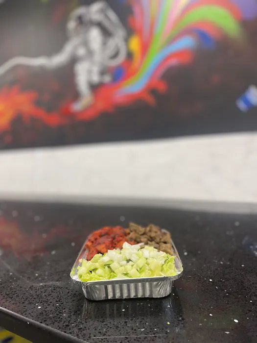 Space Grill Picture 9