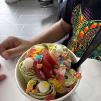 Four Seasons Ice Cream Roll ico