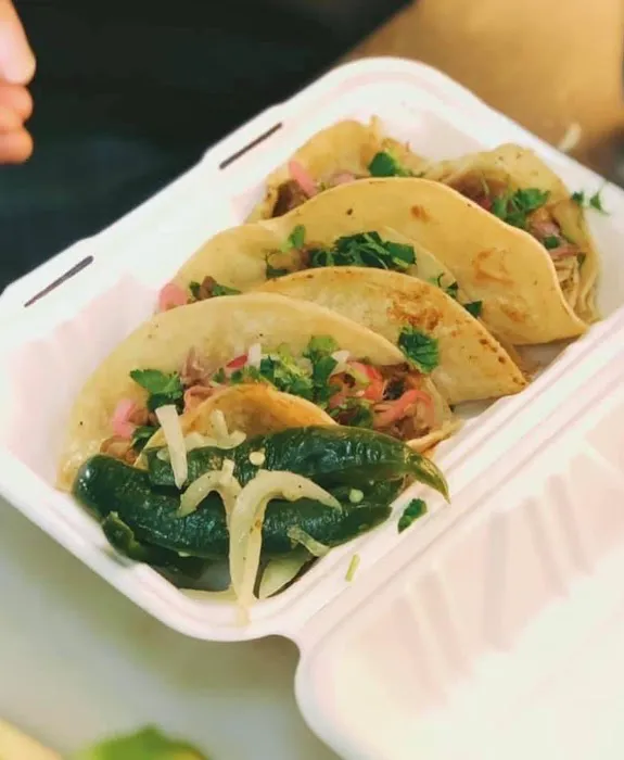 Mex Fresh Gourmet Picture 1