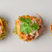 El Agave Bar Lounge Restaurant- YONKERS ico