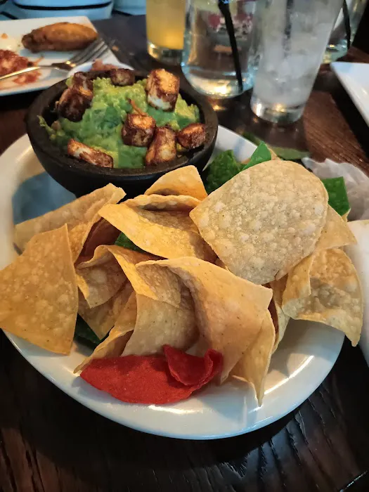 Agua É Coco Bar & Grill Picture 6