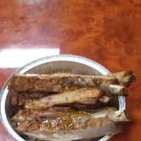 City Style Catering ico